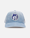 Mitchell & Ness Minnesota Timberwolves 'Dusty Cord' Pro Pinch Snapback Light Blue